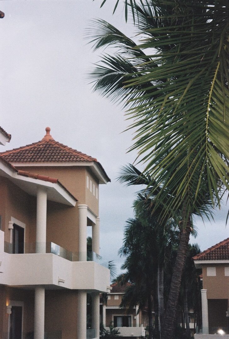 1F9462D0-289F-443C-8183-B6F6132FC88C_1_105_c