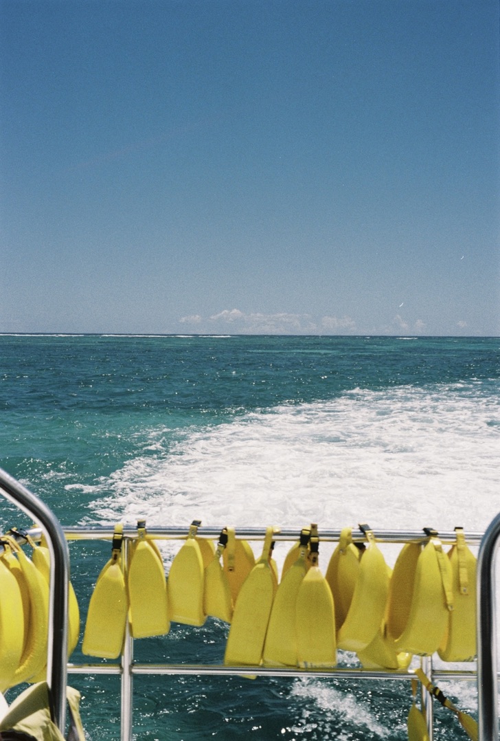 7FD6BE11-14F9-4490-8295-98B628AC666E_1_105_c